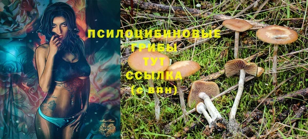 MESCALINE Богородицк